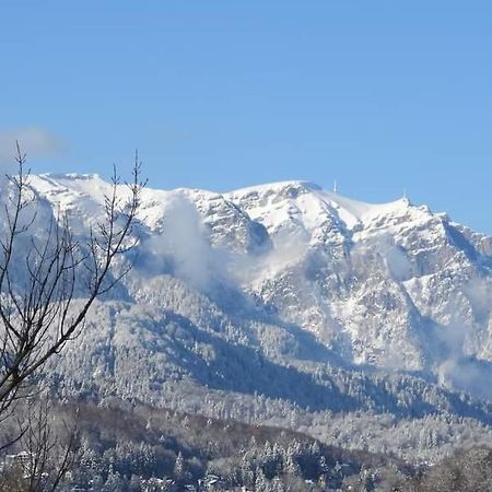 Sinaia Alpineview Residence Zewnętrze zdjęcie