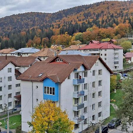 Sinaia Alpineview Residence Zewnętrze zdjęcie