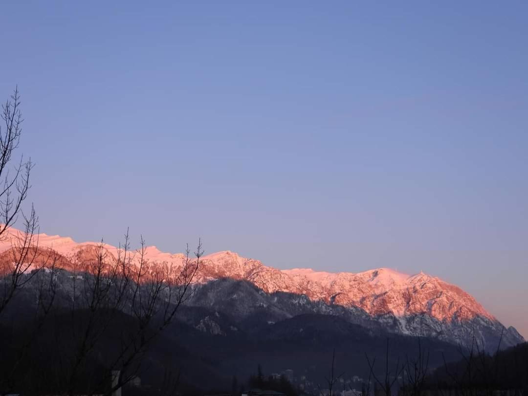Sinaia Alpineview Residence Zewnętrze zdjęcie
