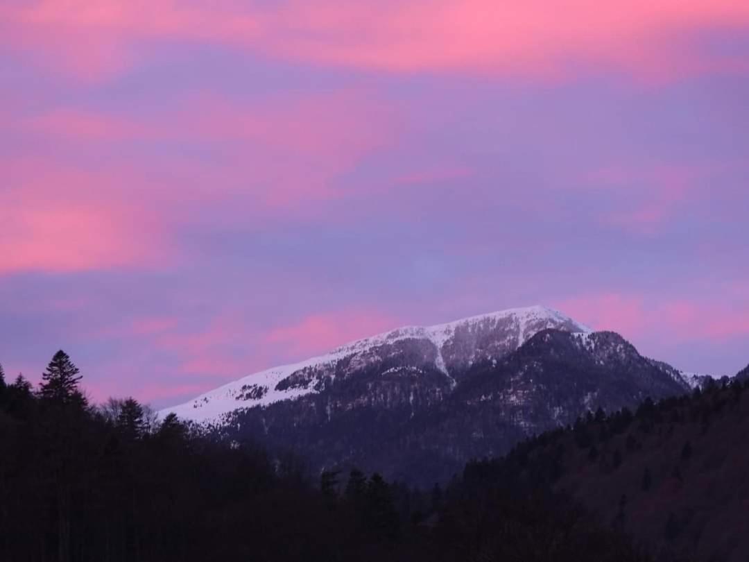 Sinaia Alpineview Residence Zewnętrze zdjęcie
