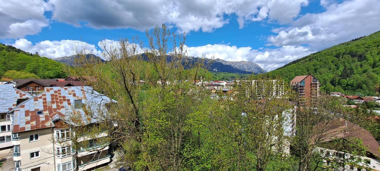 Sinaia Alpineview Residence Zewnętrze zdjęcie