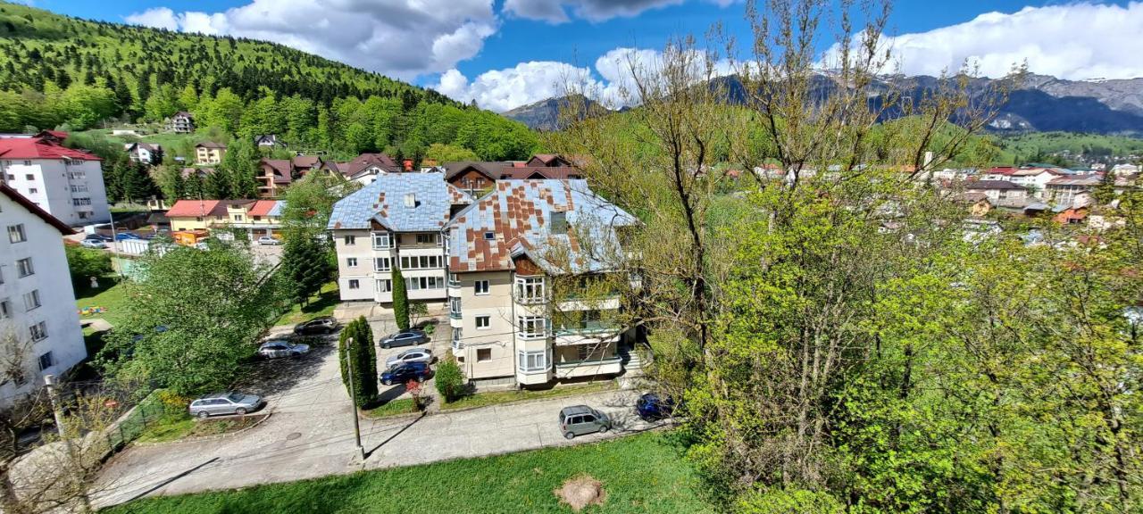 Sinaia Alpineview Residence Zewnętrze zdjęcie