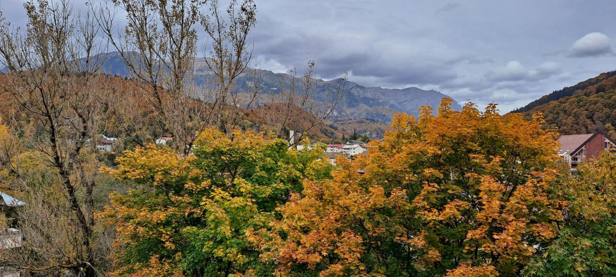 Sinaia Alpineview Residence Zewnętrze zdjęcie